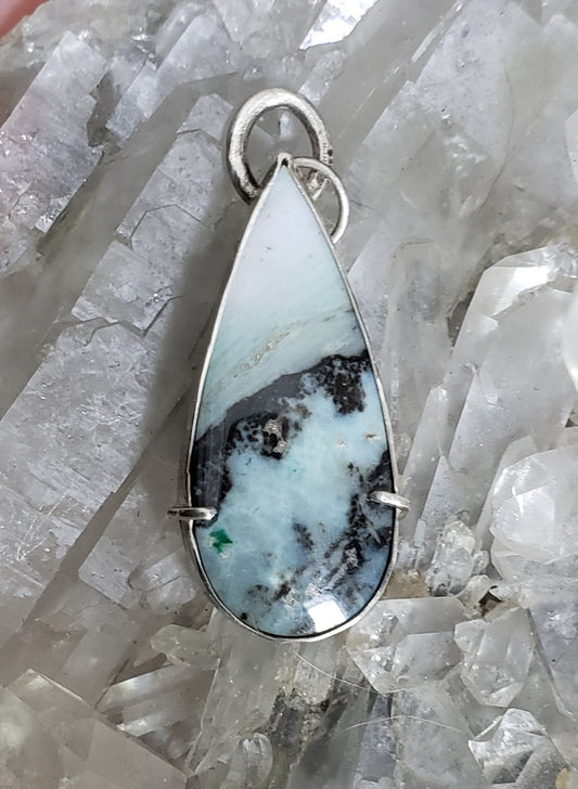 Petrified Wood and Sterling Silver Pendant