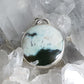 Petrified Wood and Wolf Sterling Silver Pendant