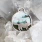 Petrified Wood and Wolf Sterling Silver Pendant