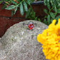 Garnet Ring with Textured Band Size 5.25