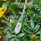 Rhodolite Garnet and Bat Pendant